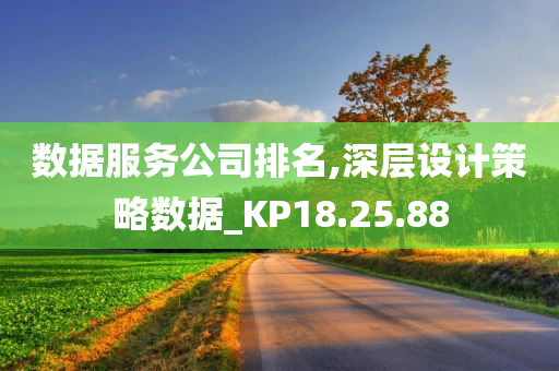 数据服务公司排名,深层设计策略数据_KP18.25.88