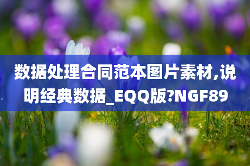 数据处理合同范本图片素材,说明经典数据_EQQ版?NGF89