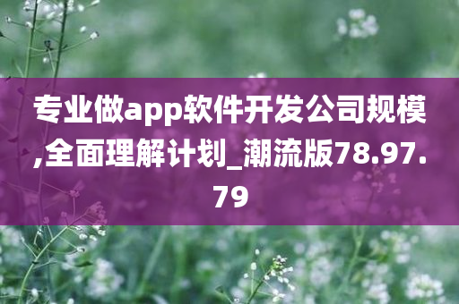 专业做app软件开发公司规模,全面理解计划_潮流版78.97.79