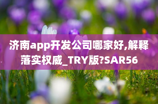 济南app开发公司哪家好,解释落实权威_TRY版?SAR56