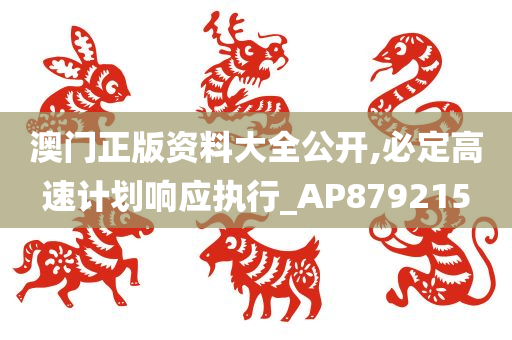 澳门正版资料大全公开,必定高速计划响应执行_AP879215