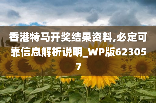 香港特马开奖结果资料,必定可靠信息解析说明_WP版623057