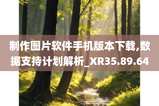 制作图片软件手机版本下载,数据支持计划解析_XR35.89.64