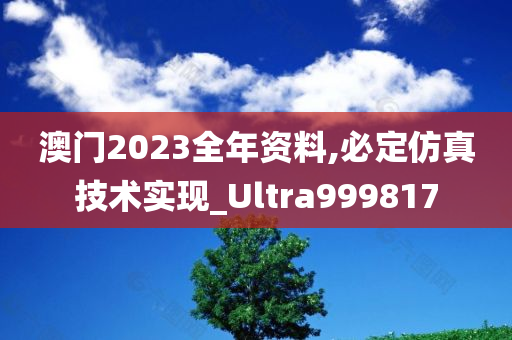 澳门2023全年资料,必定仿真技术实现_Ultra999817