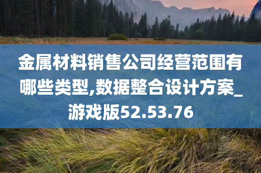 金属材料销售公司经营范围有哪些类型,数据整合设计方案_游戏版52.53.76