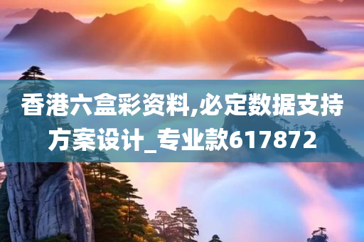 香港六盒彩资料,必定数据支持方案设计_专业款617872