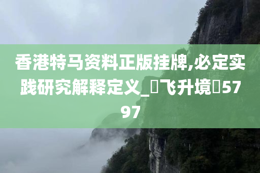 香港特马资料正版挂牌,必定实践研究解释定义_‌飞升境‌5797