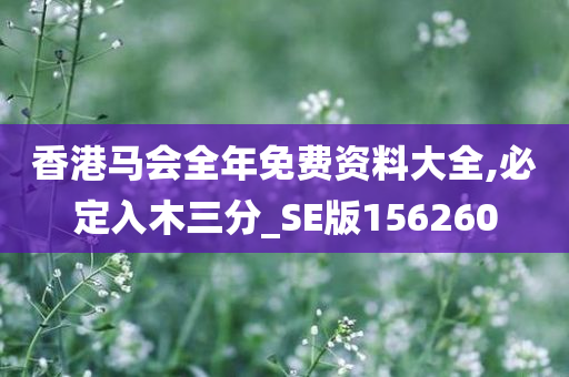 香港马会全年免费资料大全,必定入木三分_SE版156260