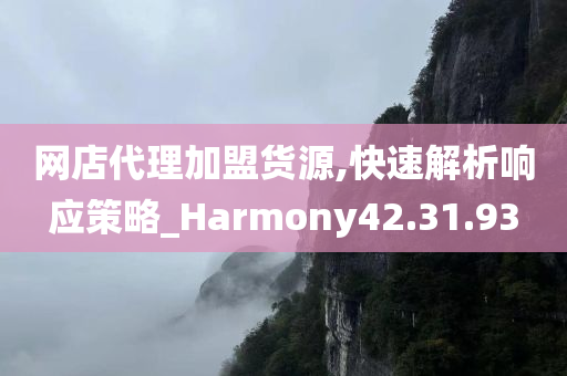 网店代理加盟货源,快速解析响应策略_Harmony42.31.93