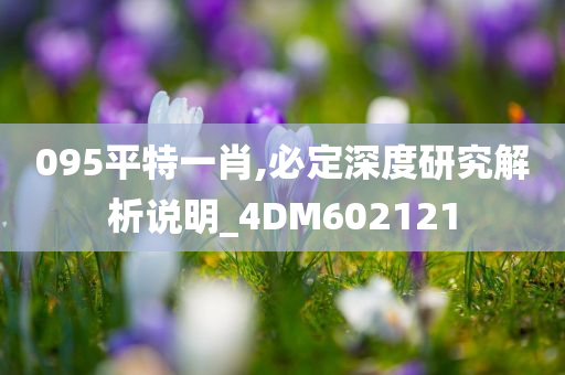 095平特一肖,必定深度研究解析说明_4DM602121