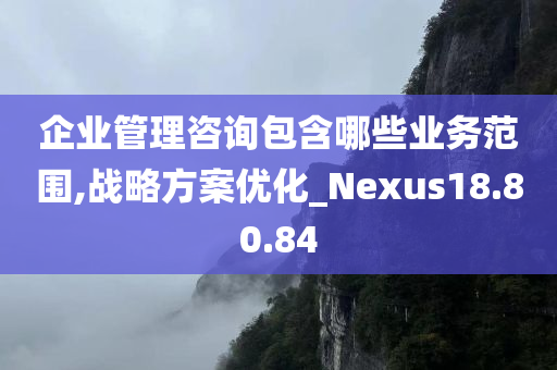 企业管理咨询包含哪些业务范围,战略方案优化_Nexus18.80.84