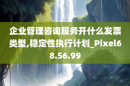 企业管理咨询服务开什么发票类型,稳定性执行计划_Pixel68.56.99