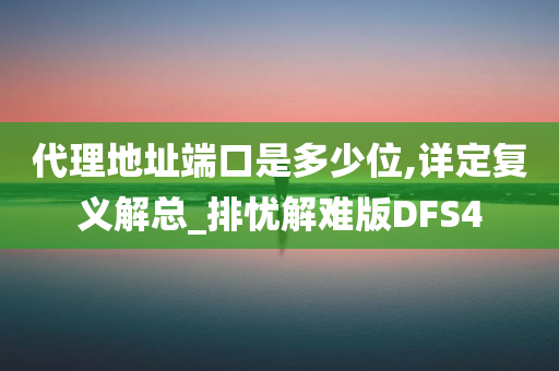 代理地址端口是多少位,详定复义解总_排忧解难版DFS4