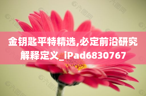 金钥匙平特精选,必定前沿研究解释定义_iPad6830767