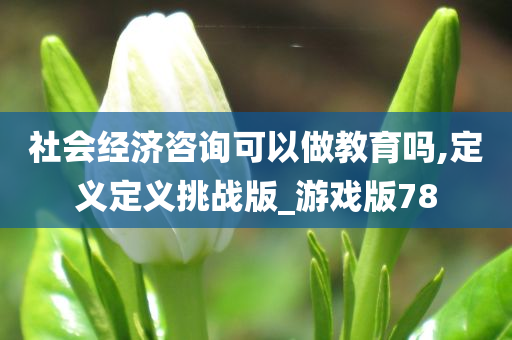 社会经济咨询可以做教育吗,定义定义挑战版_游戏版78