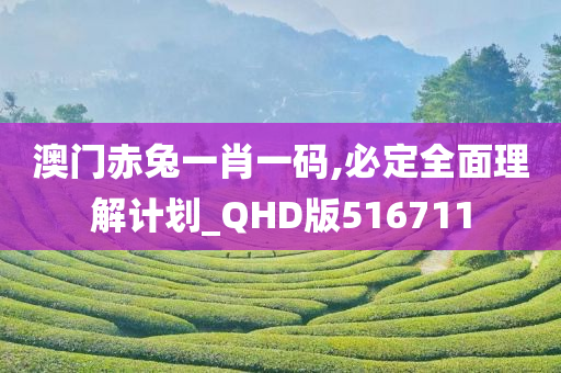 澳门赤兔一肖一码,必定全面理解计划_QHD版516711