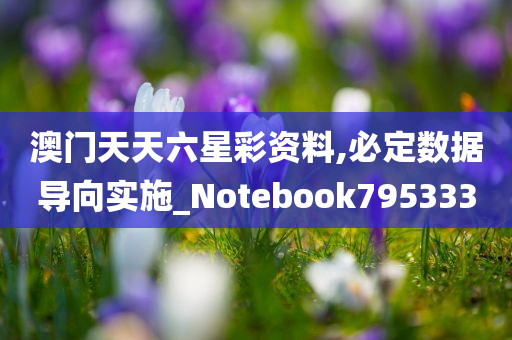 澳门天天六星彩资料,必定数据导向实施_Notebook795333