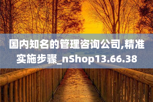 国内知名的管理咨询公司,精准实施步骤_nShop13.66.38