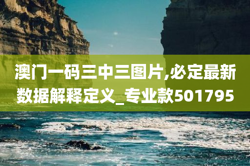 澳门一码三中三图片,必定最新数据解释定义_专业款501795