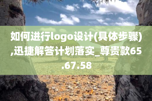 如何进行logo设计(具体步骤),迅捷解答计划落实_尊贵款65.67.58