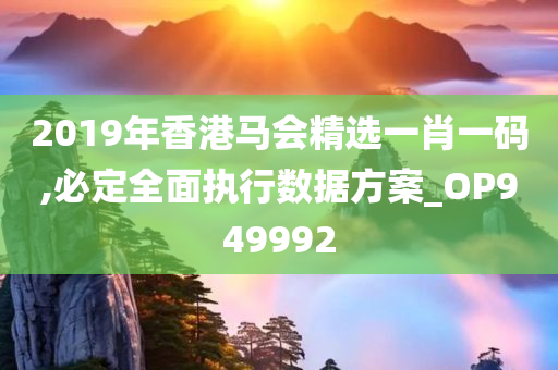 2019年香港马会精选一肖一码,必定全面执行数据方案_OP949992