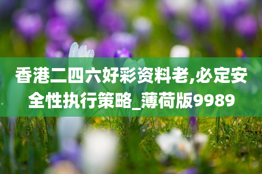 香港二四六好彩资料老,必定安全性执行策略_薄荷版9989