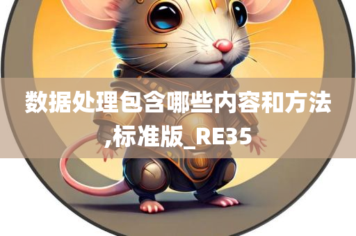 数据处理包含哪些内容和方法,标准版_RE35