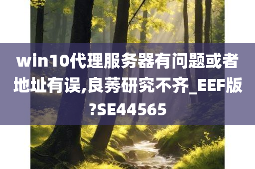 win10代理服务器有问题或者地址有误,良莠研究不齐_EEF版?SE44565