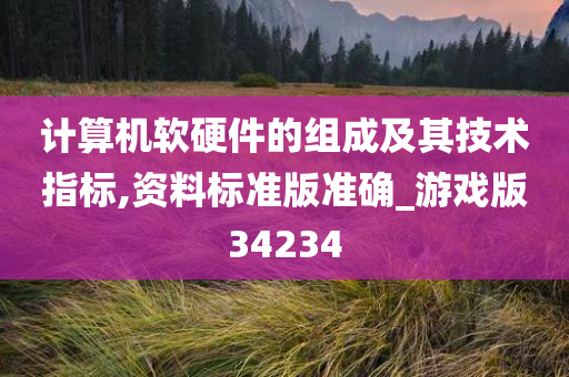 计算机软硬件的组成及其技术指标,资料标准版准确_游戏版34234