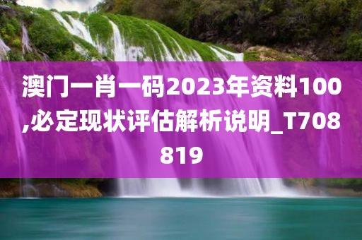 澳门一肖一码2023年资料100,必定现状评估解析说明_T708819