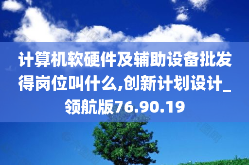 计算机软硬件及辅助设备批发得岗位叫什么,创新计划设计_领航版76.90.19