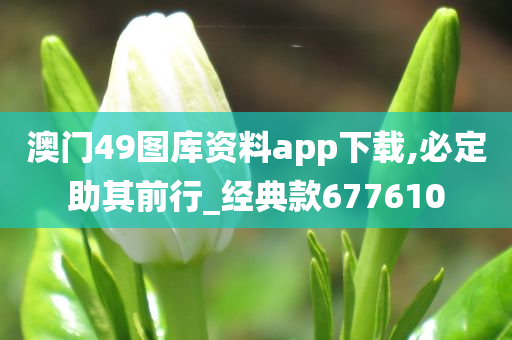 澳门49图库资料app下载,必定助其前行_经典款677610