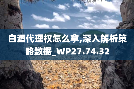 白酒代理权怎么拿,深入解析策略数据_WP27.74.32