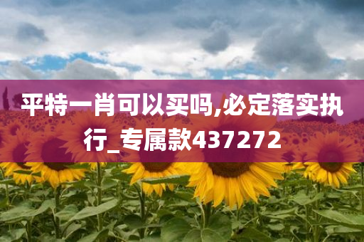 平特一肖可以买吗,必定落实执行_专属款437272