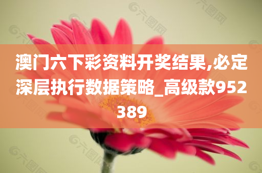 澳门六下彩资料开奖结果,必定深层执行数据策略_高级款952389