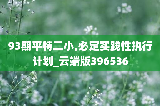 93期平特二小,必定实践性执行计划_云端版396536