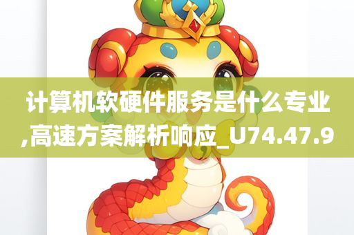 计算机软硬件服务是什么专业,高速方案解析响应_U74.47.90