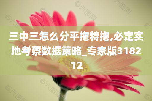 三中三怎么分平拖特拖,必定实地考察数据策略_专家版318212