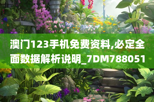 澳门123手机免费资料,必定全面数据解析说明_7DM788051