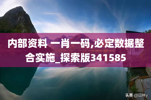 内部资料 一肖一码,必定数据整合实施_探索版341585