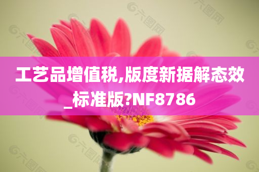 工艺品增值税,版度新据解态效_标准版?NF8786