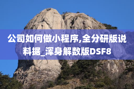 公司如何做小程序,全分研版说料据_浑身解数版DSF8