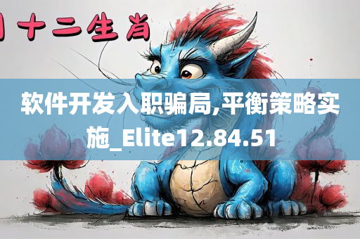 软件开发入职骗局,平衡策略实施_Elite12.84.51