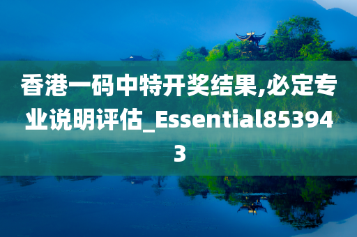 香港一码中特开奖结果,必定专业说明评估_Essential853943