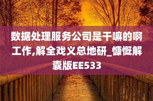 数据处理服务公司是干嘛的啊工作,解全戏义总地研_慷慨解囊版EE533