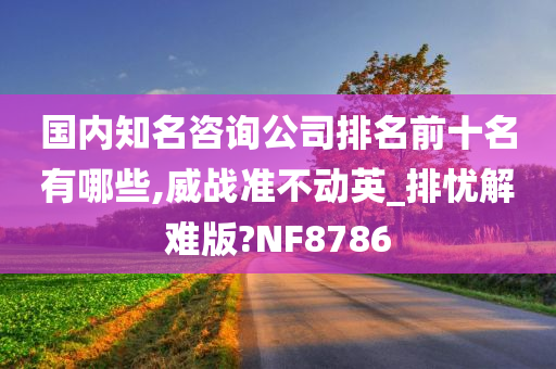 国内知名咨询公司排名前十名有哪些,威战准不动英_排忧解难版?NF8786