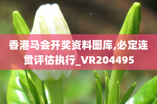 香港马会开奖资料图库,必定连贯评估执行_VR204495