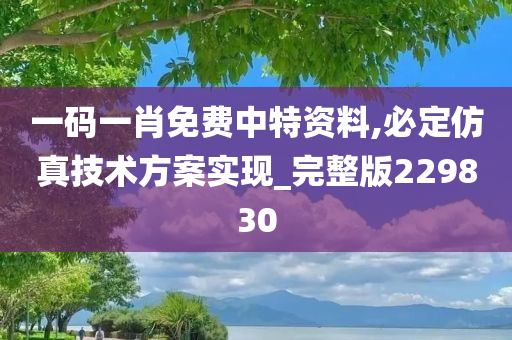 一码一肖免费中特资料,必定仿真技术方案实现_完整版229830