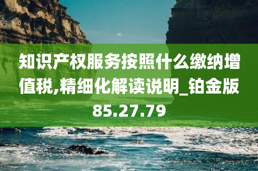 知识产权服务按照什么缴纳增值税,精细化解读说明_铂金版85.27.79