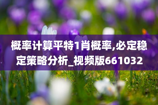 概率计算平特1肖概率,必定稳定策略分析_视频版661032